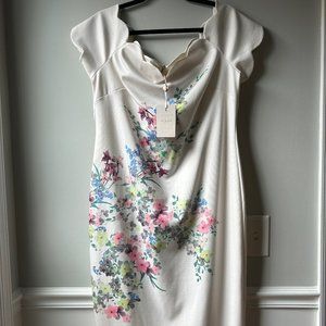 NWT Ted Baker London Pergola Floral Off-the-Shoulder Sheath Dress, Size US 16-18